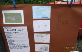 Plakat über die Fledermaus