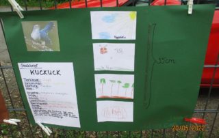 Plakat über den Kuckuck